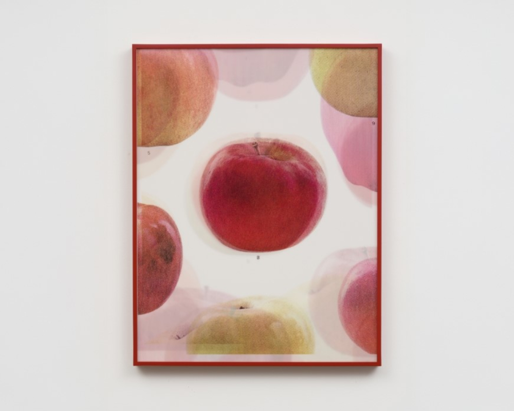 Background Materials