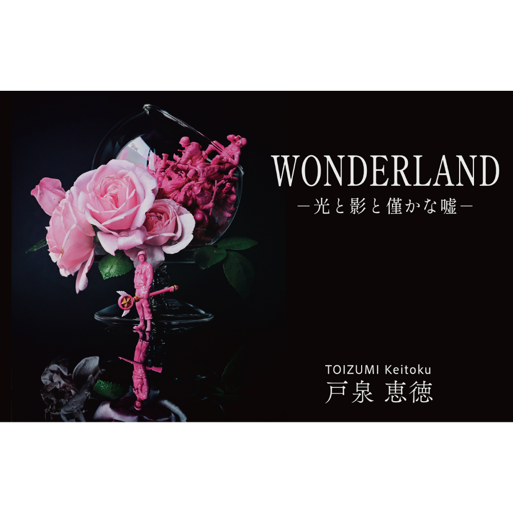 WONDERLAND — 光と影と僅かな嘘 — 【UPCOMING】
